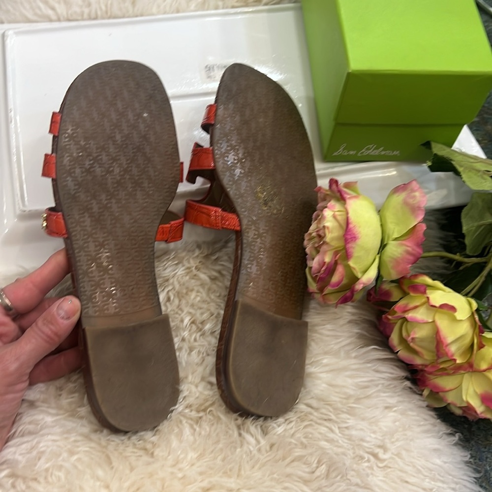 Sam Edelman Shoes 💄💋 - Picture 5 of 9